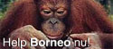 Borneo, Help nu